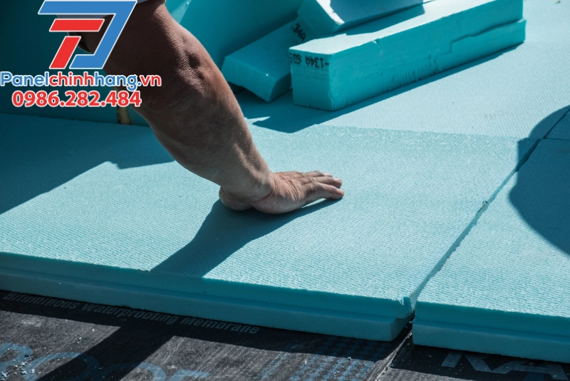 Tấm Xốp XPS Có Bị Mối Mọt Không? Phân Tích Từ Chuyên Gia